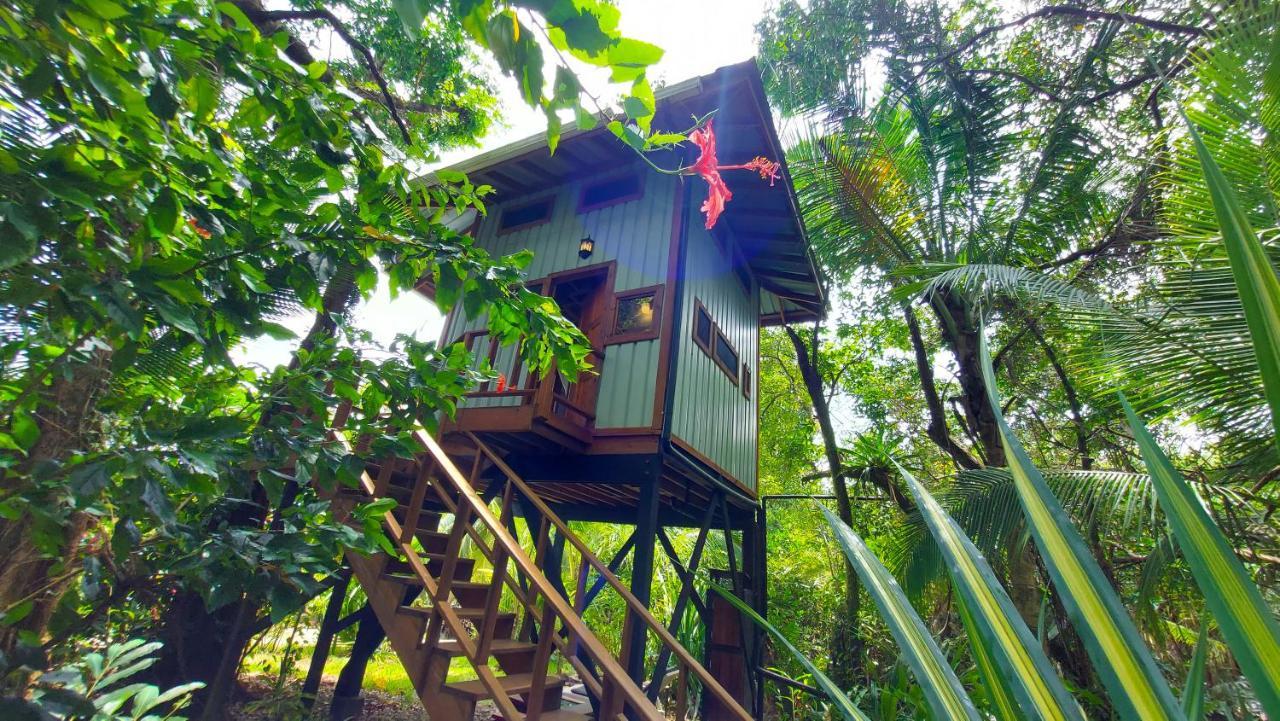 Eclypse de Mar Acqua Lodge Bastimentos Exterior foto